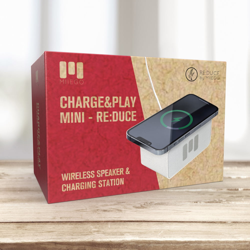 CHARGE&amp;PLAY MINI RE:DUCE - Vit