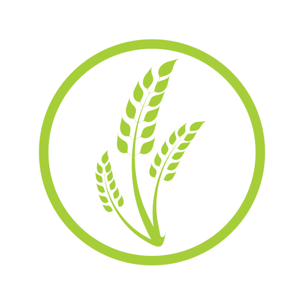 RE:DUCE BY MIIEGO® – WHEAT STRAW AS A PLASTIC SUBSTITUTE